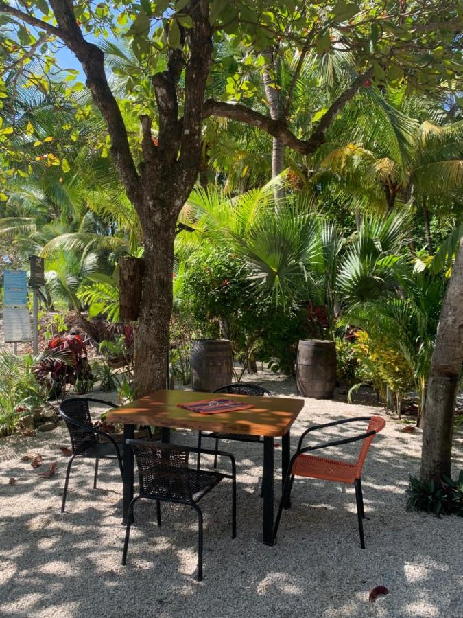 Beach Front Bahia Samara Exterior photo